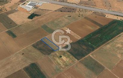 Acıpayam Yassıhüyük Mh. Satılık 1325 M2 Tarla