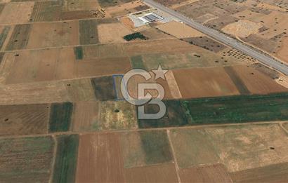 Acıpayam Yassıhüyük Mh. Satılık 1325 M2 Tarla