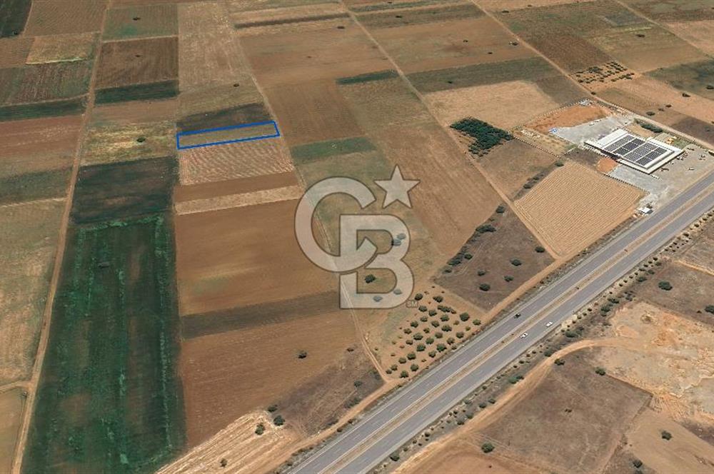 Acıpayam Yassıhüyük Mh. Satılık 1325 M2 Tarla