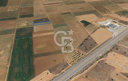 Acıpayam Yassıhüyük Mh. Satılık 1325 M2 Tarla