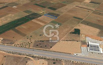 Acıpayam Yassıhüyük Mh. Satılık 1325 M2 Tarla