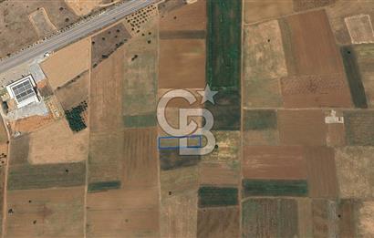 Acıpayam Yassıhüyük Mh. Satılık 1325 M2 Tarla