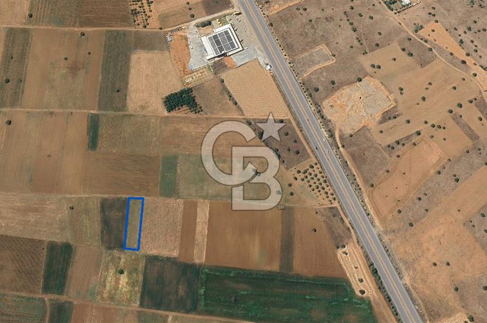Acıpayam Yassıhüyük Mh. Satılık 1325 M2 Tarla