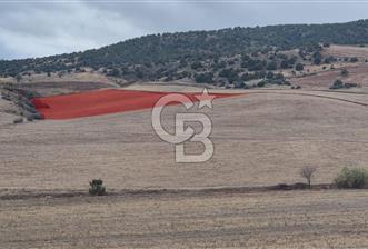 ELMADAĞ KUŞÇUALİ SATILIK TARLA 27 DÖNÜM