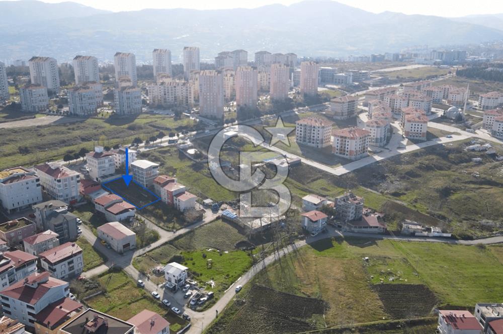 Yeni Kamu Bölgesinde Kat Karşılığı Arsa