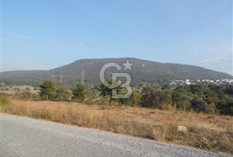 URLA’da SATILIK ARAZİ – KEKLİKTEPE ve KALABAK BİRLEŞİMİN’de