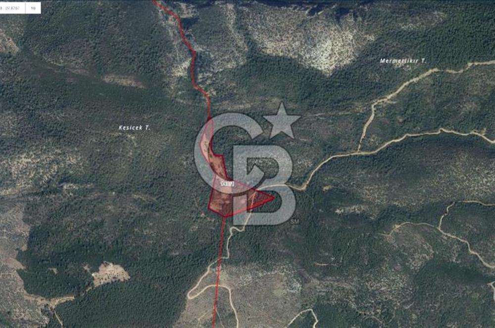 Milas Yusufcada 52.400 m2 Kaçırılmayacak Tarla Fırsatı!
