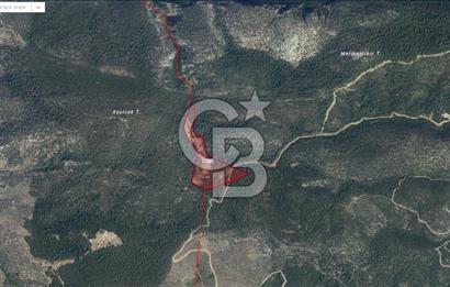 Milas Yusufcada 52.400 m2 Kaçırılmayacak Tarla Fırsatı!