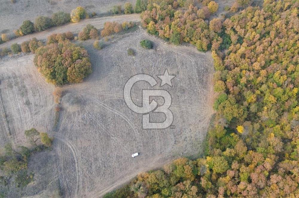 ÇANAKKALE BİGA GEREDELLİ KÖYÜNDE SATILIK TARLA
