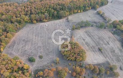 ÇANAKKALE BİGA GEREDELLİ KÖYÜNDE SATILIK TARLA