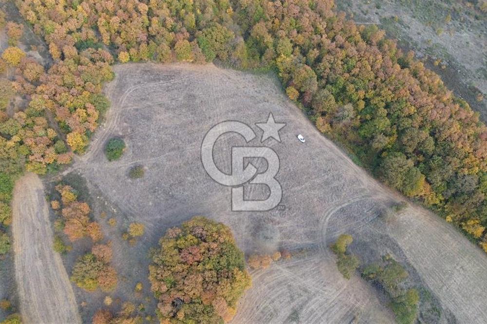 ÇANAKKALE BİGA GEREDELLİ KÖYÜNDE SATILIK TARLA