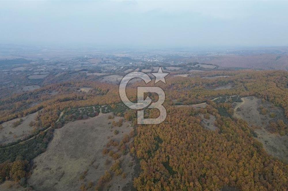 ÇANAKKALE BİGA GEREDELLİ KÖYÜNDE SATILIK TARLA