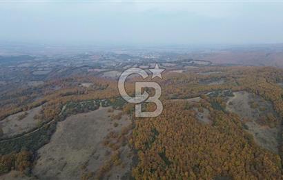 ÇANAKKALE BİGA GEREDELLİ KÖYÜNDE SATILIK TARLA