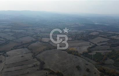 ÇANAKKALE BİGA GEREDELLİ KÖYÜNDE SATILIK TARLA