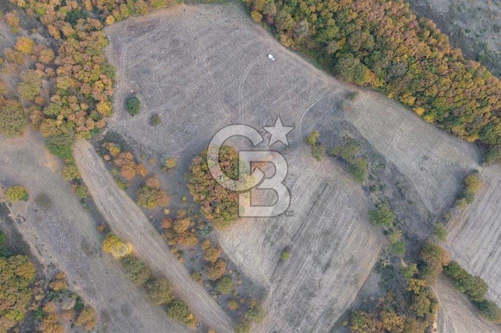 ÇANAKKALE BİGA GEREDELLİ KÖYÜNDE SATILIK TARLA