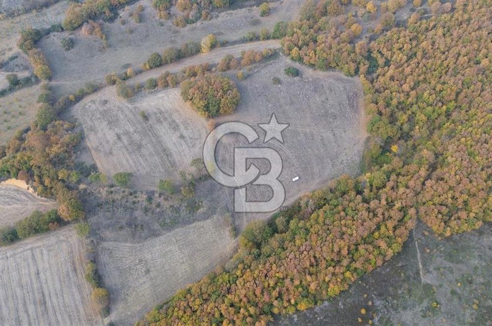 ÇANAKKALE BİGA GEREDELLİ KÖYÜNDE SATILIK TARLA