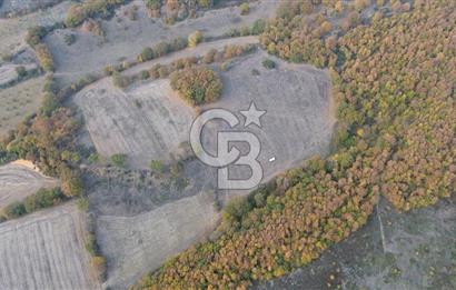 ÇANAKKALE BİGA GEREDELLİ KÖYÜNDE SATILIK TARLA