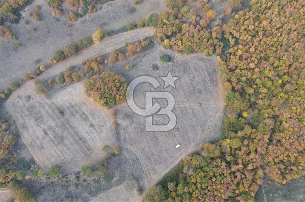 ÇANAKKALE BİGA GEREDELLİ KÖYÜNDE SATILIK TARLA