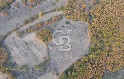ÇANAKKALE BİGA GEREDELLİ KÖYÜNDE SATILIK TARLA