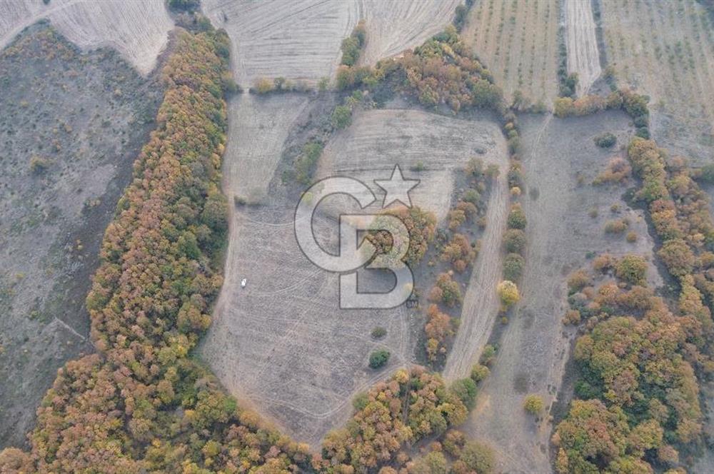 ÇANAKKALE BİGA GEREDELLİ KÖYÜNDE SATILIK TARLA