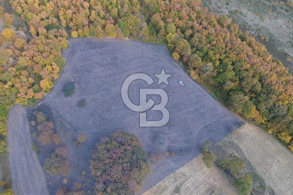 ÇANAKKALE BİGA GEREDELLİ KÖYÜNDE SATILIK TARLA