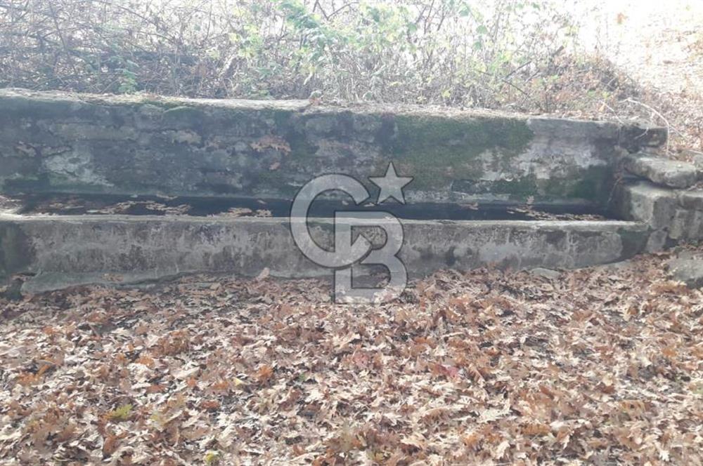 ÇANAKKALE BİGA GEREDELLİ KÖYÜNDE SATILIK TARLA