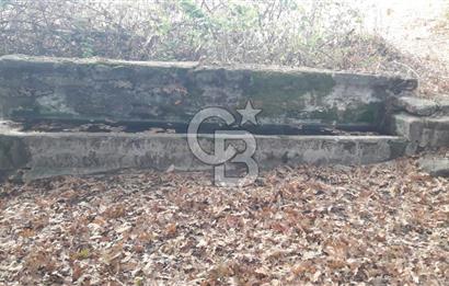 ÇANAKKALE BİGA GEREDELLİ KÖYÜNDE SATILIK TARLA