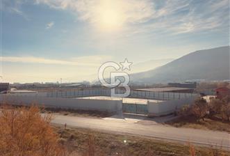 kemalpaşa Otoban Yanı 4400 m2 Etrafı Çevrili Kiralık Depo Alanı