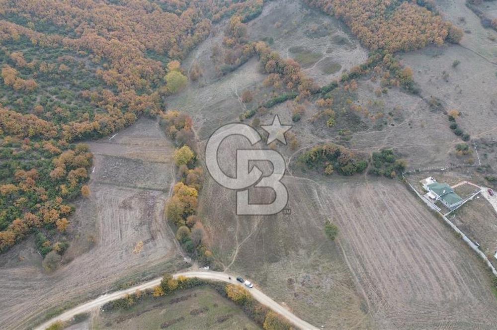 ÇANAKKALE BİGA GÜRÇEŞME KÖYÜNDE SATILIK ÇİFTLİK ARAZİSİ