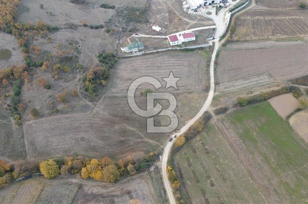 ÇANAKKALE BİGA GÜRÇEŞME KÖYÜNDE SATILIK ÇİFTLİK ARAZİSİ