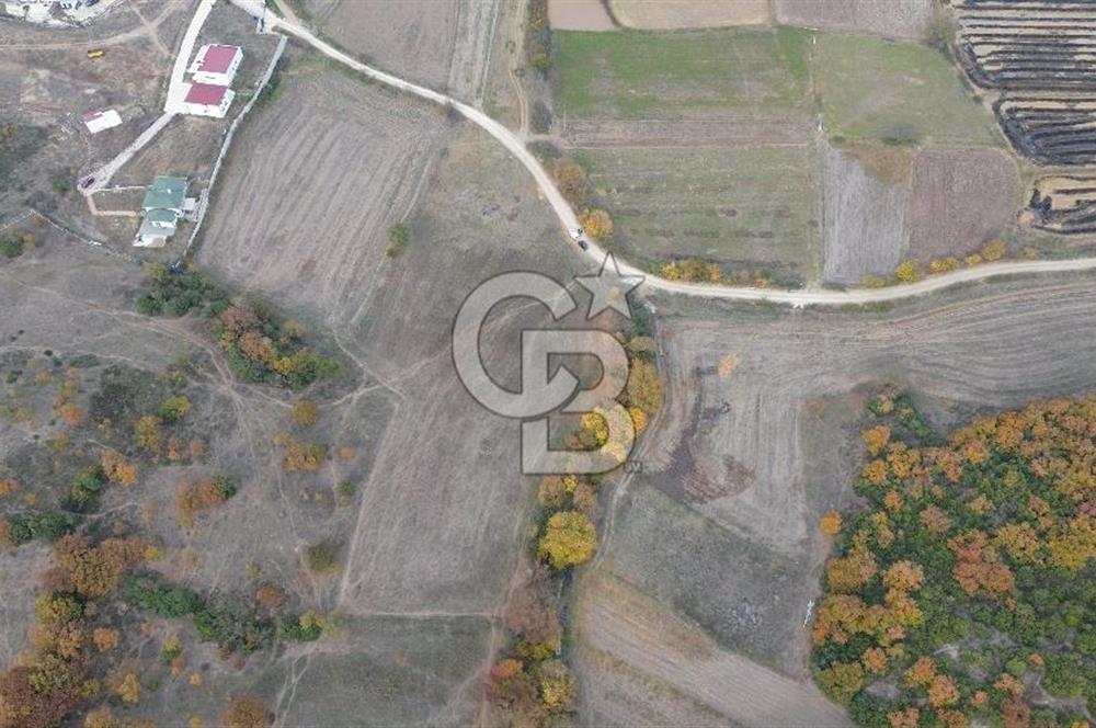 ÇANAKKALE BİGA GÜRÇEŞME KÖYÜNDE SATILIK ÇİFTLİK ARAZİSİ