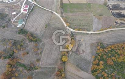 ÇANAKKALE BİGA GÜRÇEŞME KÖYÜNDE SATILIK ÇİFTLİK ARAZİSİ