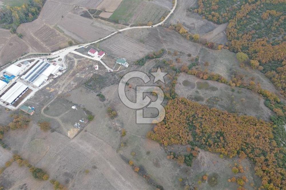 ÇANAKKALE BİGA GÜRÇEŞME KÖYÜNDE SATILIK ÇİFTLİK ARAZİSİ