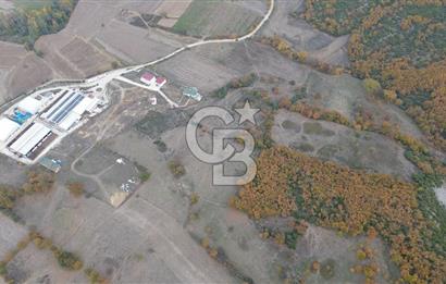 ÇANAKKALE BİGA GÜRÇEŞME KÖYÜNDE SATILIK ÇİFTLİK ARAZİSİ