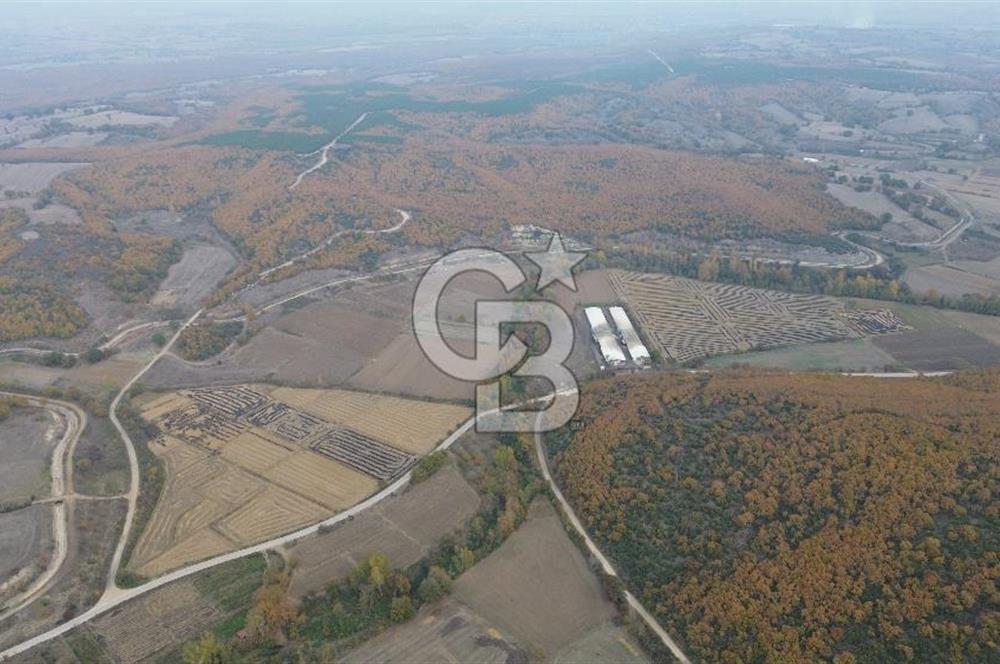 ÇANAKKALE BİGA GÜRÇEŞME KÖYÜNDE SATILIK ÇİFTLİK ARAZİSİ