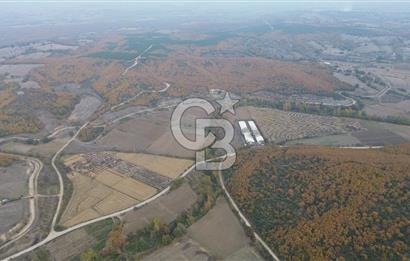 ÇANAKKALE BİGA GÜRÇEŞME KÖYÜNDE SATILIK ÇİFTLİK ARAZİSİ