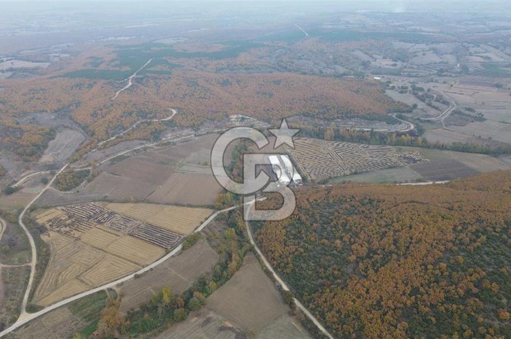 ÇANAKKALE BİGA GÜRÇEŞME KÖYÜNDE SATILIK ÇİFTLİK ARAZİSİ