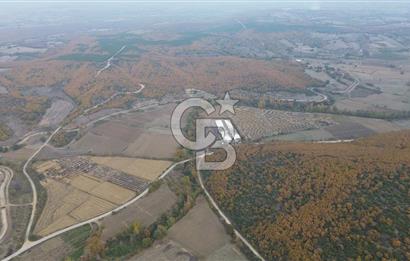 ÇANAKKALE BİGA GÜRÇEŞME KÖYÜNDE SATILIK ÇİFTLİK ARAZİSİ