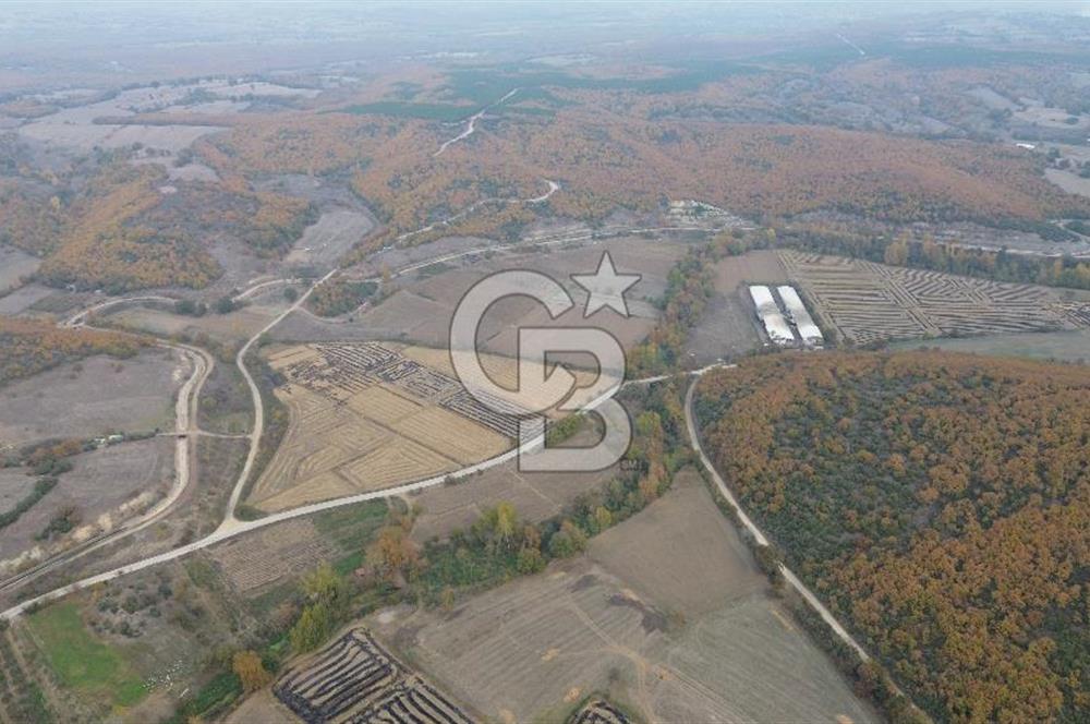 ÇANAKKALE BİGA GÜRÇEŞME KÖYÜNDE SATILIK ÇİFTLİK ARAZİSİ