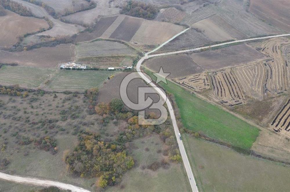 ÇANAKKALE BİGA CİHADİYE KÖYÜNDE SATILIK TARLA