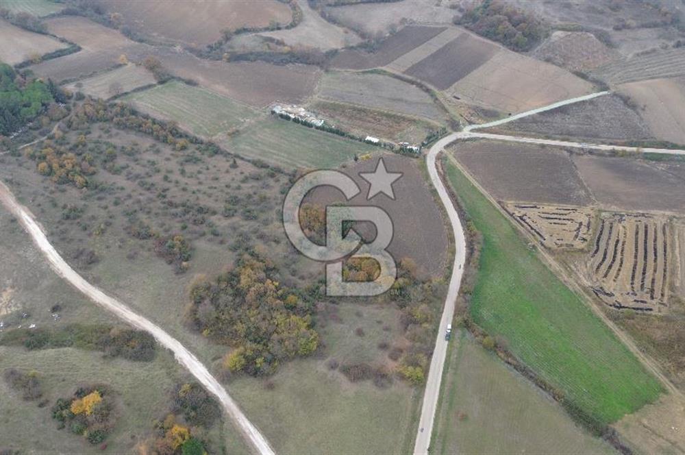 ÇANAKKALE BİGA CİHADİYE KÖYÜNDE SATILIK TARLA