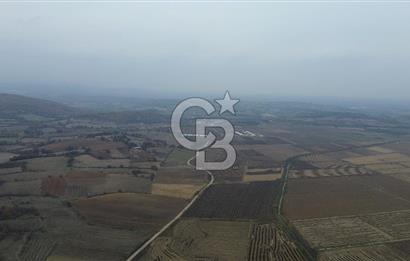 ÇANAKKALE BİGA CİHADİYE KÖYÜNDE SATILIK TARLA