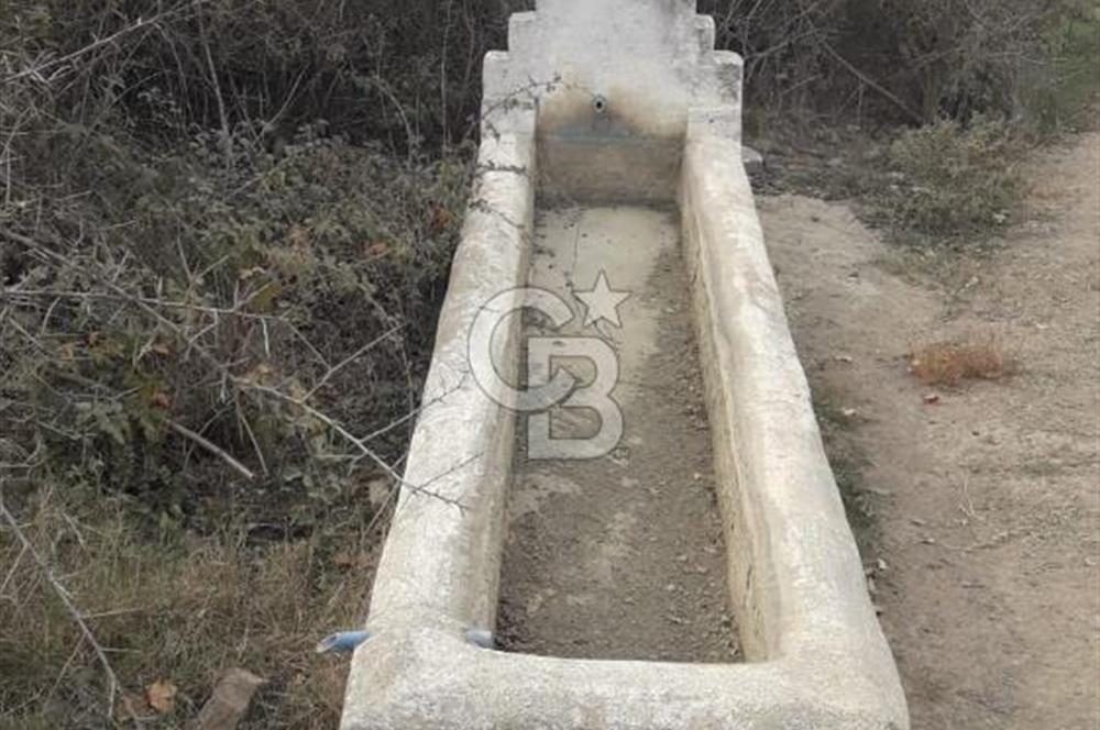 ÇANAKKALE BİGA GÜRÇEŞME KÖYÜNDE SATILIK ÇİFTLİK ARAZİSİ