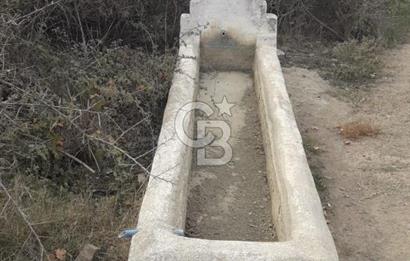 ÇANAKKALE BİGA GÜRÇEŞME KÖYÜNDE SATILIK ÇİFTLİK ARAZİSİ