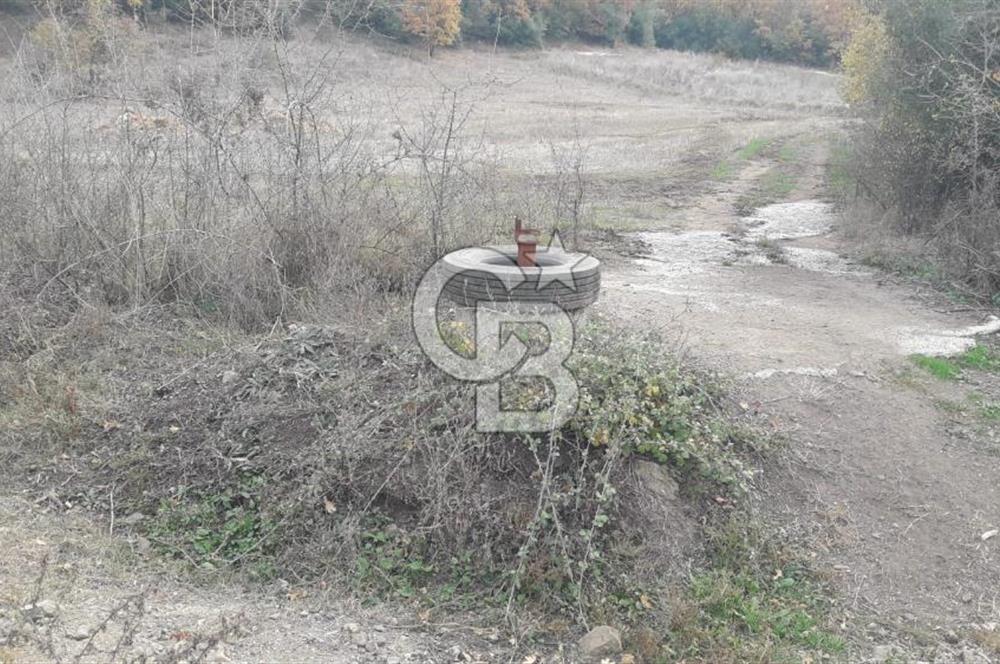 ÇANAKKALE BİGA GÜRÇEŞME KÖYÜNDE SATILIK ÇİFTLİK ARAZİSİ