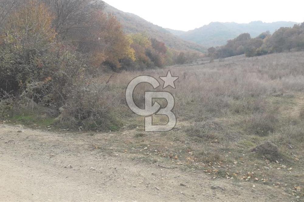 ÇANAKKALE BİGA GÜRÇEŞME KÖYÜNDE SATILIK ÇİFTLİK ARAZİSİ