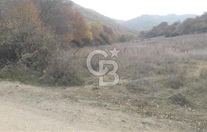 ÇANAKKALE BİGA GÜRÇEŞME KÖYÜNDE SATILIK ÇİFTLİK ARAZİSİ