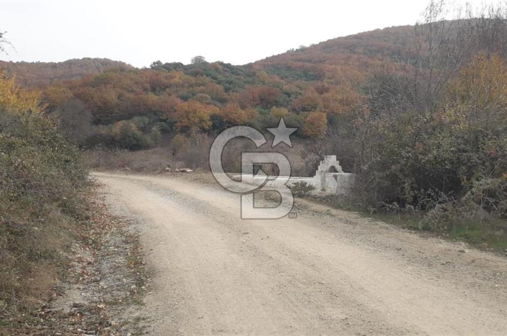 ÇANAKKALE BİGA GÜRÇEŞME KÖYÜNDE SATILIK ÇİFTLİK ARAZİSİ