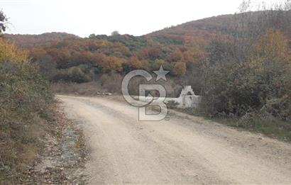 ÇANAKKALE BİGA GÜRÇEŞME KÖYÜNDE SATILIK ÇİFTLİK ARAZİSİ