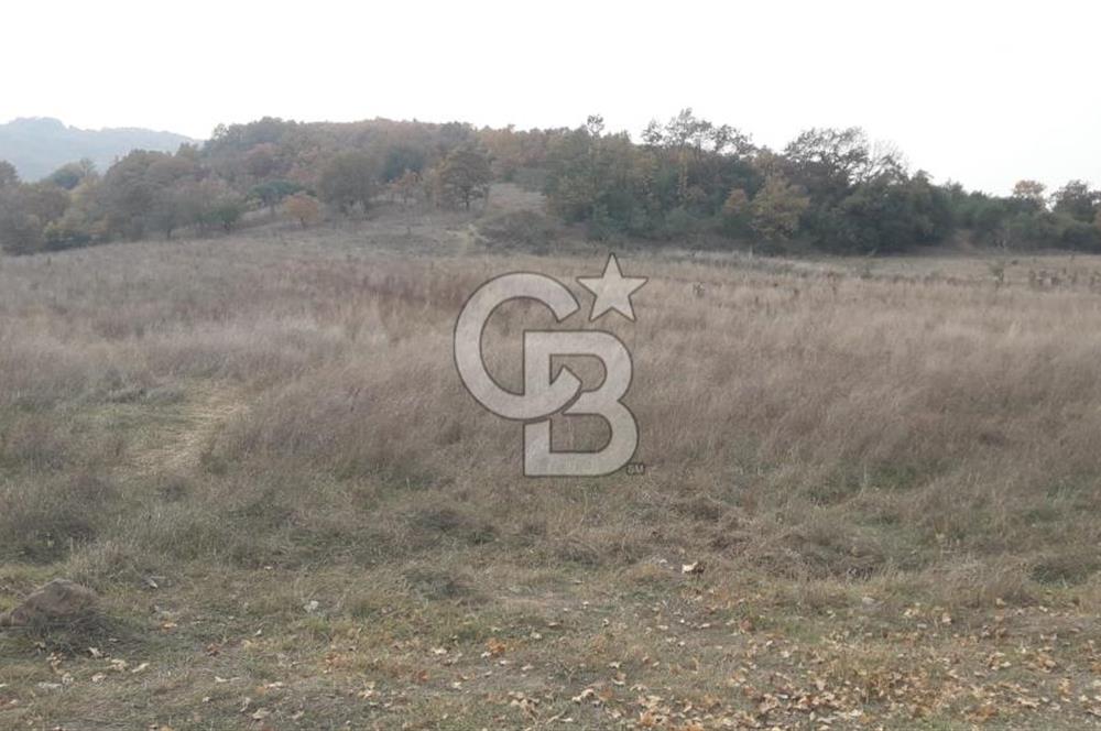 ÇANAKKALE BİGA GÜRÇEŞME KÖYÜNDE SATILIK ÇİFTLİK ARAZİSİ
